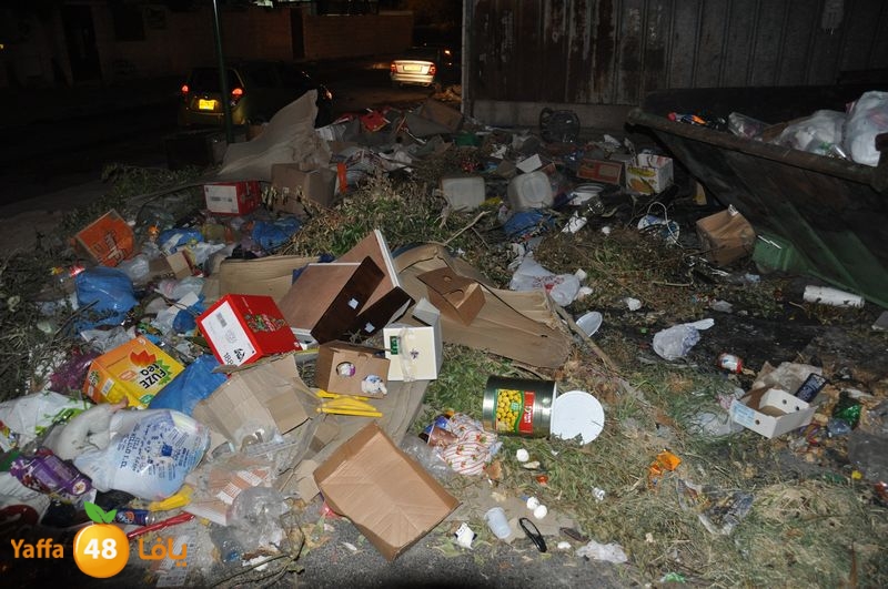 trash lud 907 (49).JPG